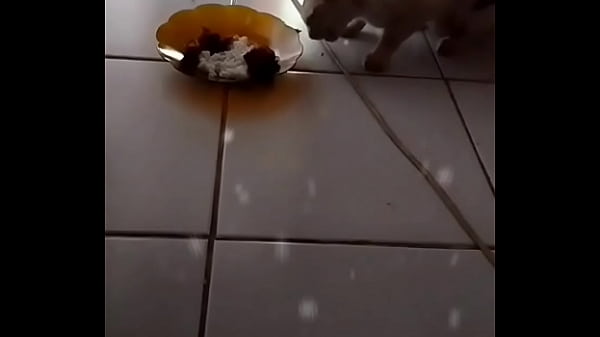 Anita, Si Binal Bikin Makin Pengen.