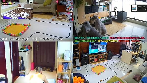 Tonton Langsung Cewek-cewek China Lagi Goyang-goyang Seksi, Bikin Makin Tegang!