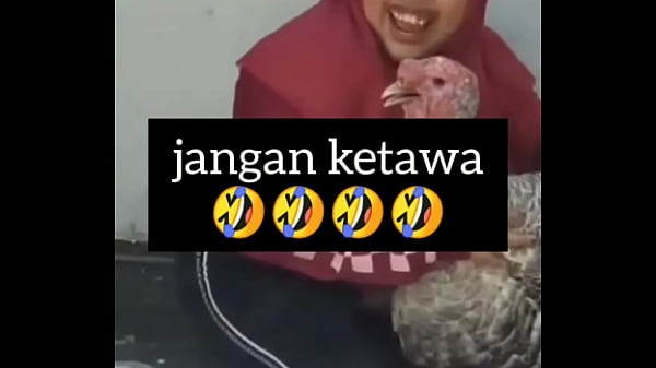 Gadis Montok Ngakak Sambil Minta Digojlok